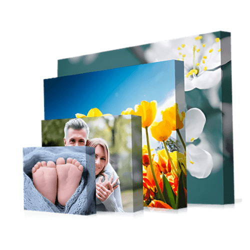 Canvas Prints